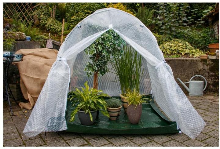 Produktbild Colibri Winter Dome
