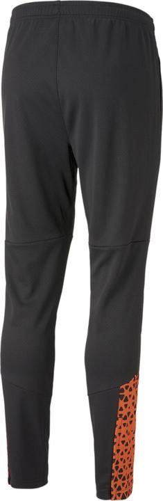 Actual product image Puma individualCUP Training Pants (XL)