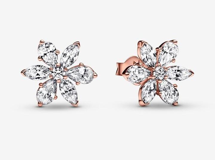 Actual product image Pandora Sparkling Herbarium Cluster Stud Earrings (Sterling silver 925)