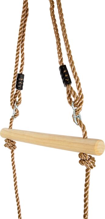 Actual product image small foot Skateboard Swing
