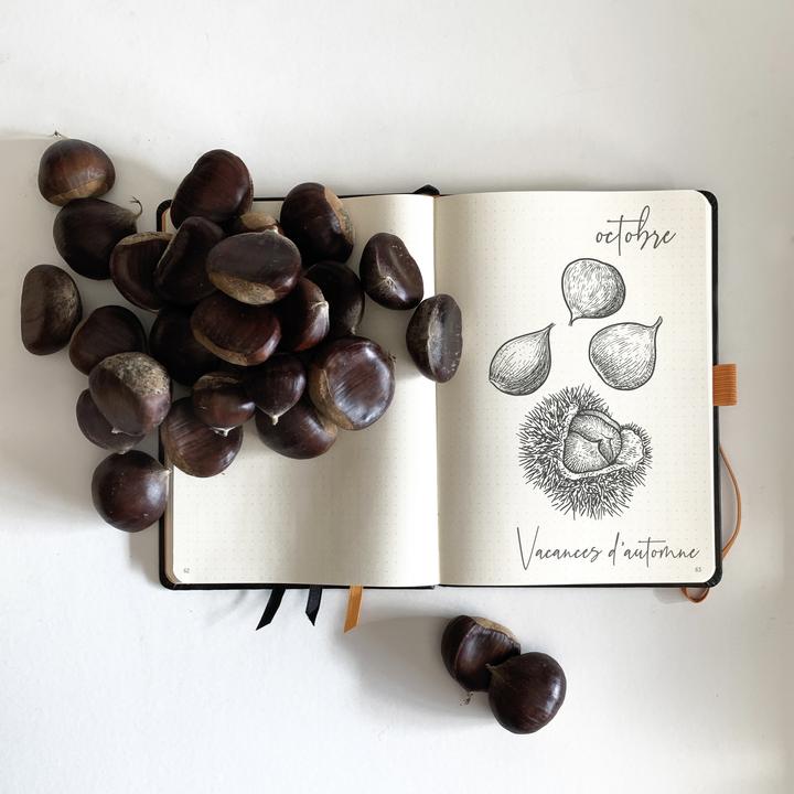 Actual product image Rhodia Rhodiarama Goalbook (A5, Checked, Hardcover)