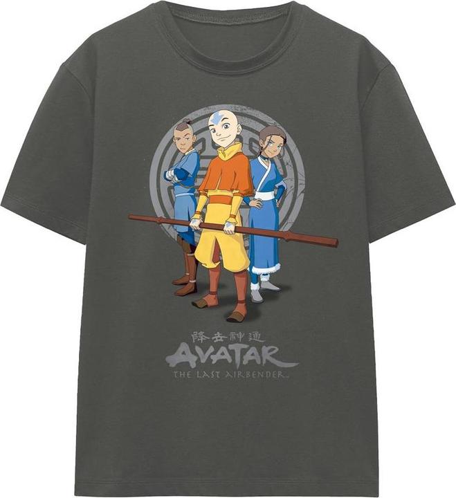 Actual product image Avatar: The Last Airbender Unisex Adult Team Avatar T-Shirt (XL)