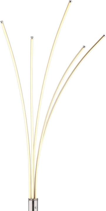 Image du produit Globo Bizzy