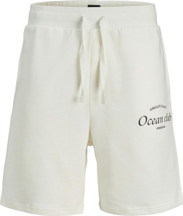 Image du produit Jack & Jones Jprblaocean Club Sweat Shorts (L)