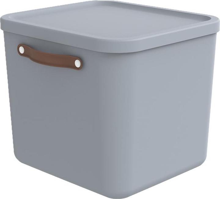Immagine prodotto Rotho Aufbewahrungsbox 40 l MALOJA (40 l)