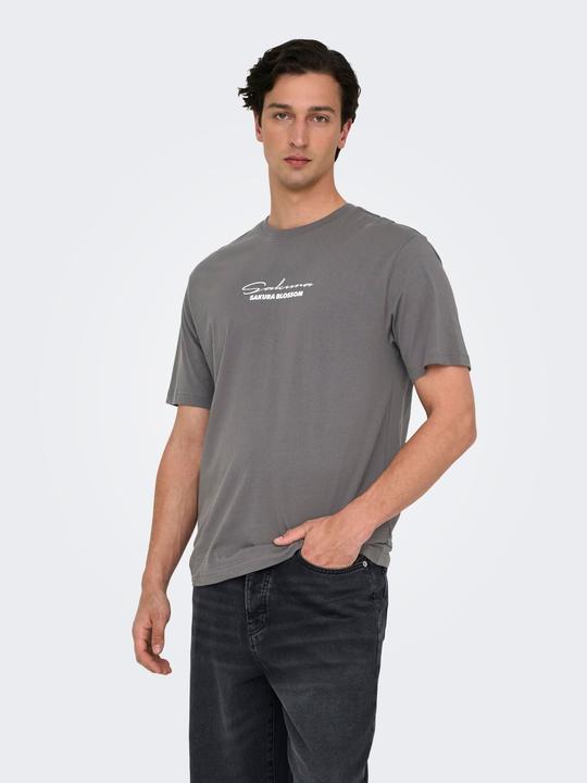 Produktbild Only & Sons Onskeane Rlx Ss Print Tee Noos (M)