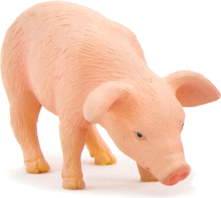 Image du produit Animal Planet Porcinet mangeant