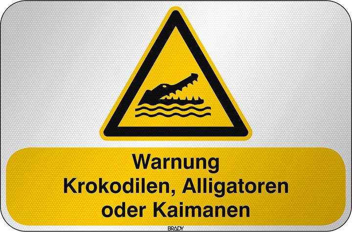 Actual product image Brady W/W067/5DE375/RFL-590X390-1, ISO safety sign - Warning against crocodiles, alligators or alligator