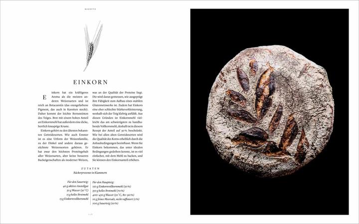 Image du produit Sauerteig. Gutes Brot backen (Allemand, Martin Ivar Hveem Fjeld, Casper André Lugg, 2021)