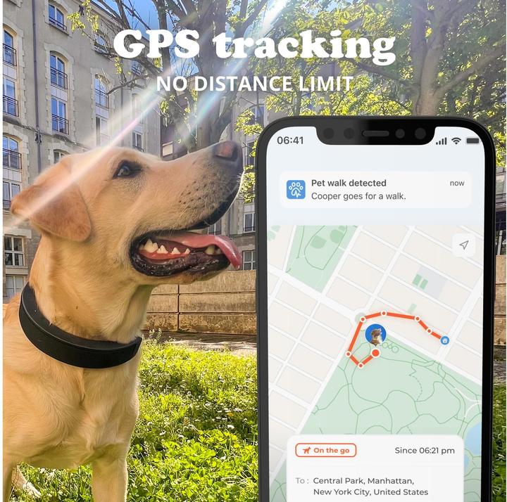 Produktbild Invoxia Smart Dog Collar taille S (Hund)