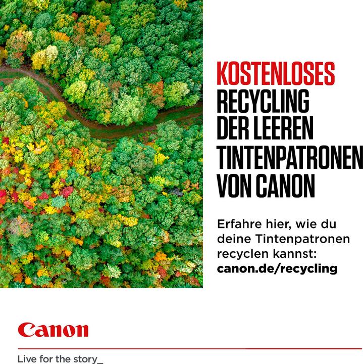 Image du produit Canon PG-540Lx2/CL-541XL Cartouche d'encre (M, CF, C, Y)