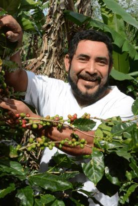 Immagine prodotto Sonnentor Caffè verde (54 g)