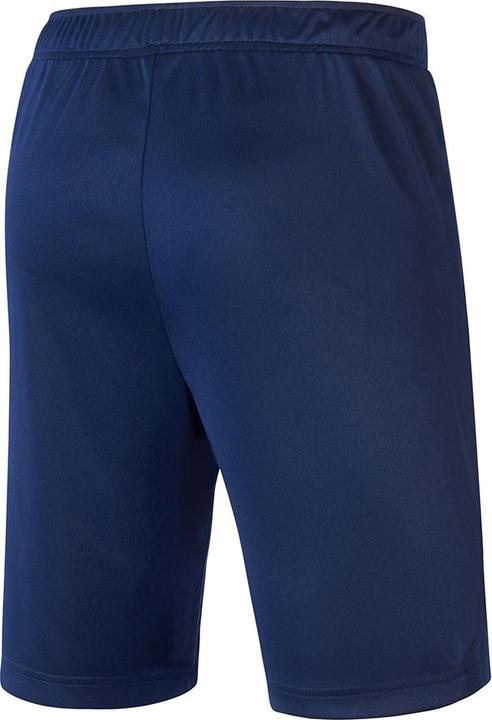 Image du produit Mizuno Short Nara Trainng (XL)