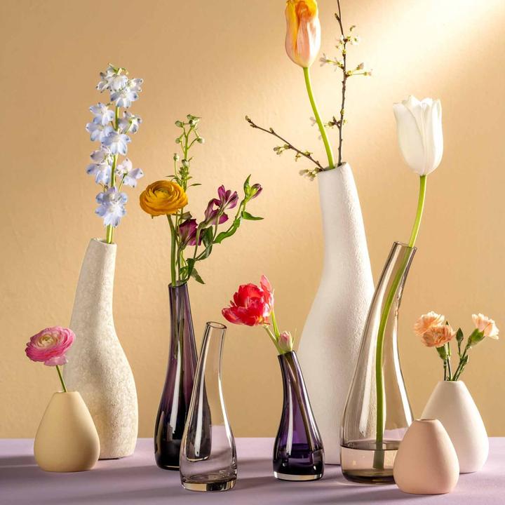 Immagine prodotto Leonardo Vaso Luminosa 20 cm, Taupe (1 x, 7 x 7 x 20 cm, 0.24 l)