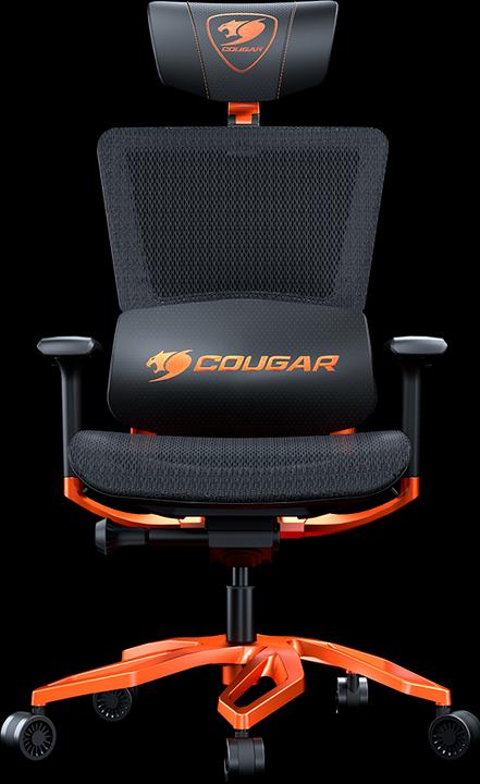 Cougar Argo