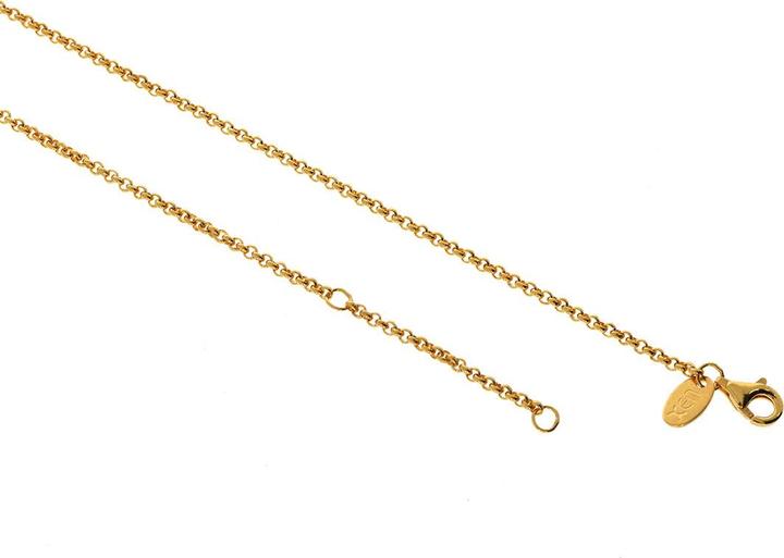 Produktbild Xen Erbskette 42-45 cm lang aus 925 Silber gelbvergoldet (925 Sterling Silber, 42 - 45 cm)