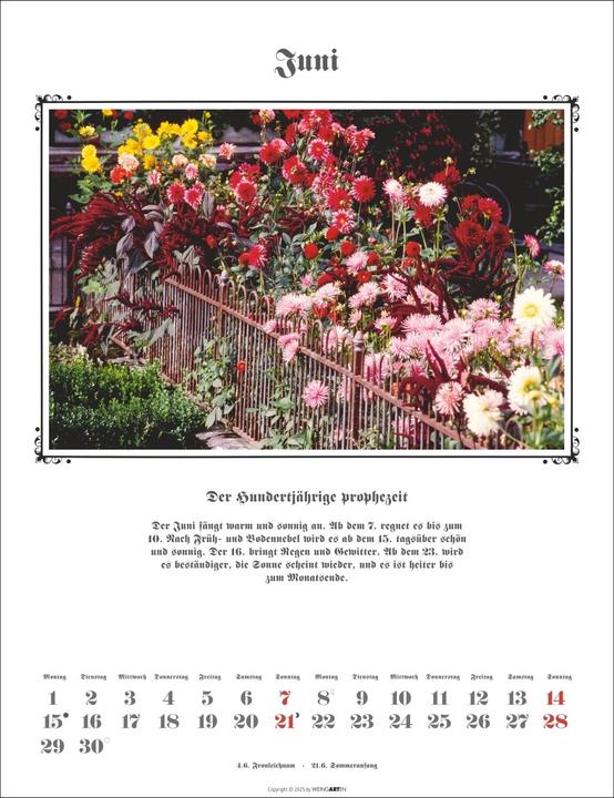 Actual product image Der Hundertjährige Kalender 2026 (30 x 39 cm, German)