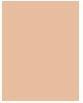 Actual product image Clinique Beyond Perfecting Foundation + Concealer (1 Ivory)