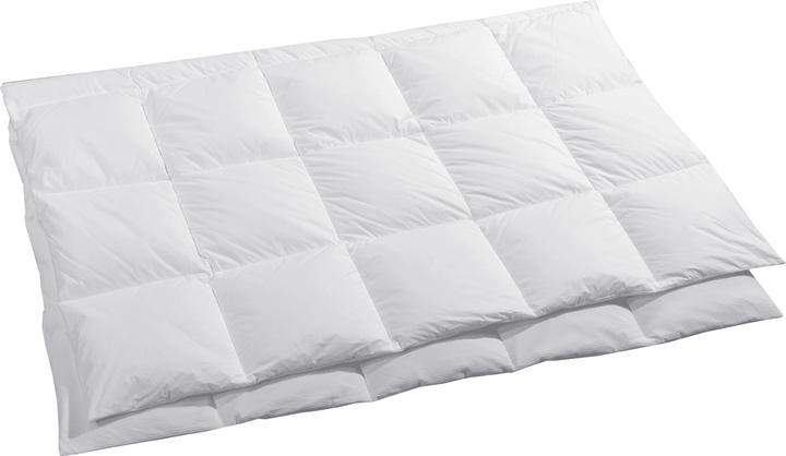 Image du produit Dauny Climaactive Evolution (570 g, 160 x 240 cm)