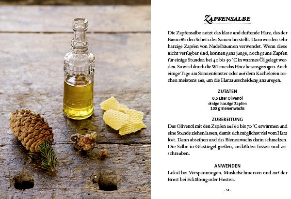 Produktbild Das kleine Buch: Harz- und Pechsalben (Deutsch, Karin Buchart, 2023)