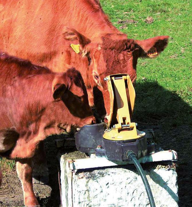 Produktbild Magni Kerbl Weidepumpe Aquamat II MK für Milchkühe & Kälber