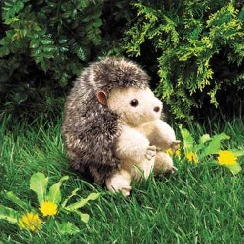 Actual product image Folkmanis Hedgehog