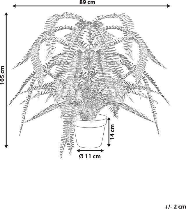 Actual product image Beliani Fern Leaf Plans (105 cm)