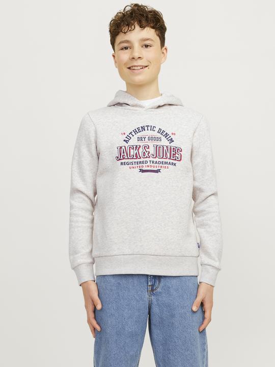 Produktbild Jack & Jones JJELOGO SWEAT HOOD 2 COL 24/25 NOOS JNR (128)
