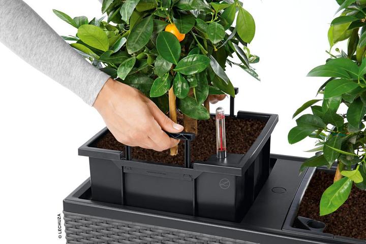 Produktbild Lechuza Blumentopf Trio Cottage 40 (42 cm)