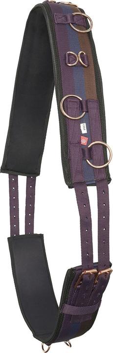 Actual product image Imperial Riding IRHDeluxe Nylon Horse Lunging Girth