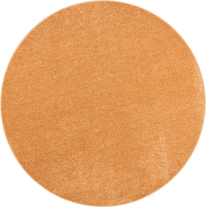 Produktbild Snapstyle Hochflor Velours Teppich Luna Rund (Ø 200 cm)