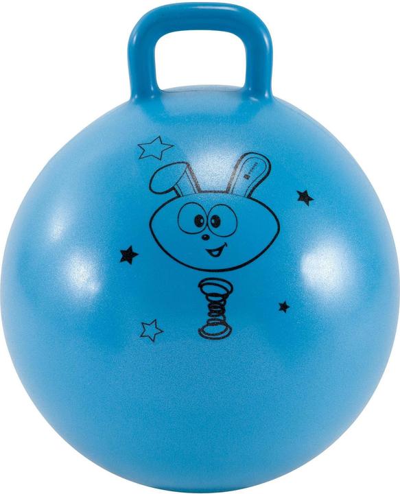 Image du produit Domyos JUMPING BALL 45