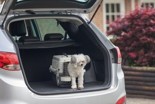 Actual product image Karlie Nomad (Dog, Cat, Lockable)