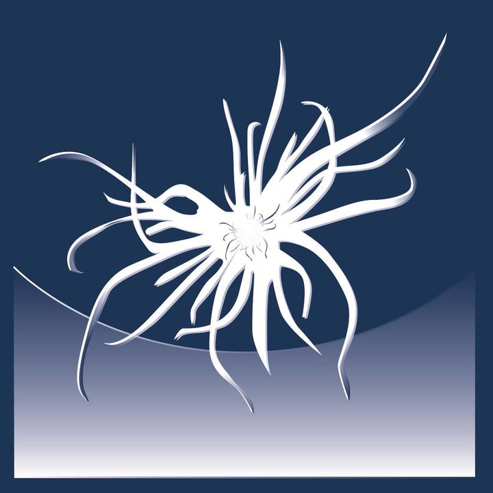Produktbild Feelings by billerbeck Luana 4-Saisons (1000 g, 160 x 210 cm)