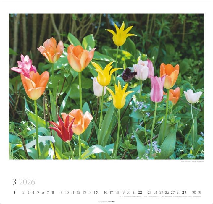 Actual product image Bauerngärten Kalender 2026 (48 x 46 cm, English, German)