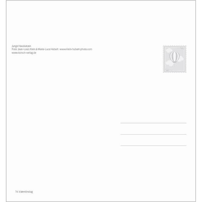 Nährwerte und Zutaten Schmusekatzen 2025 (17 x 16 cm, Deutsch)