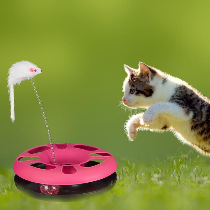 Produktbild Relaxdays Katzenspielzeug