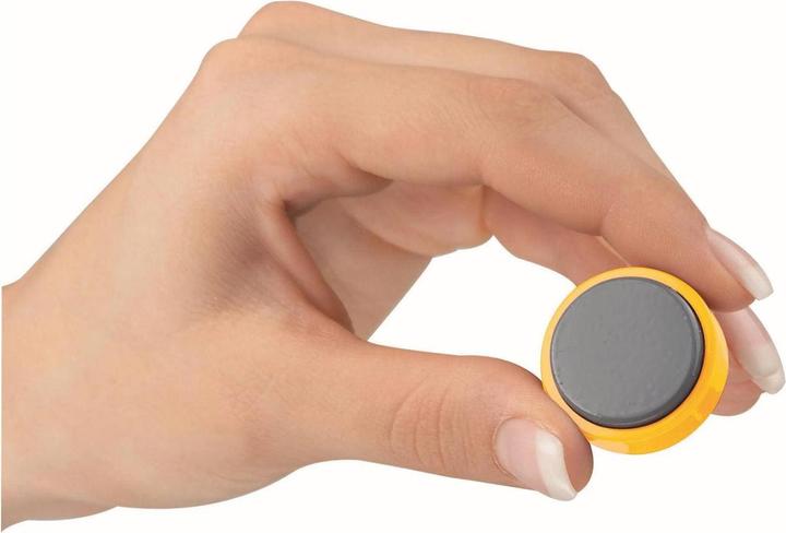 Actual product image Maul per magnet (20 x)
