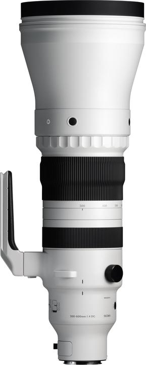 Sigma 300-600mm F4,0 DG OS | Sports (L-Mount) (L-Mount, Vollformat)