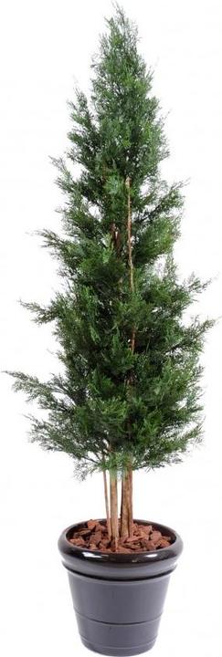 Greendeco Künstliche Zypresse Thuja, ca. 180cm (UV-Beständig) (180 cm)