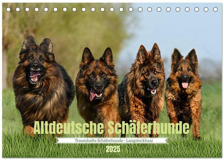 Actual product image Old German Shepherd Dogs - Tra (A5, German)