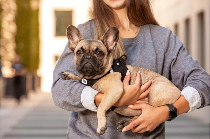 Actual product image Curli Harness Vest Air-Mesh M, Moss (M, Dog, General)