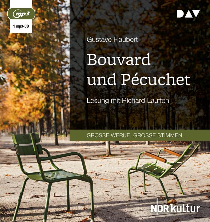 Produktbild Bouvard und Pécuchet (Gustave Flaubert, Deutsch)