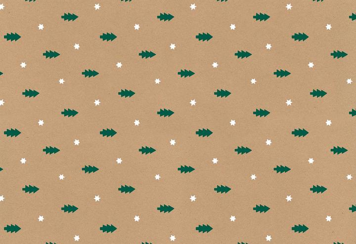 Produktbild Stewo Geschenkpapier Ivek 252358954 0,7x250m grün (Geschenkpapier, 1 x)