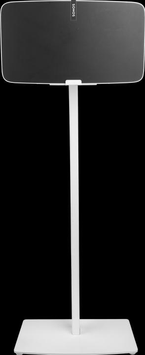 Actual product image Cavus CSP5W (1 pcs., Wall installation, Rotatable, Height-adjustable)