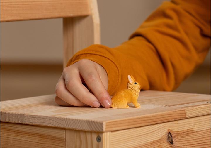 Image du produit Schleich Lapin à tête de lion