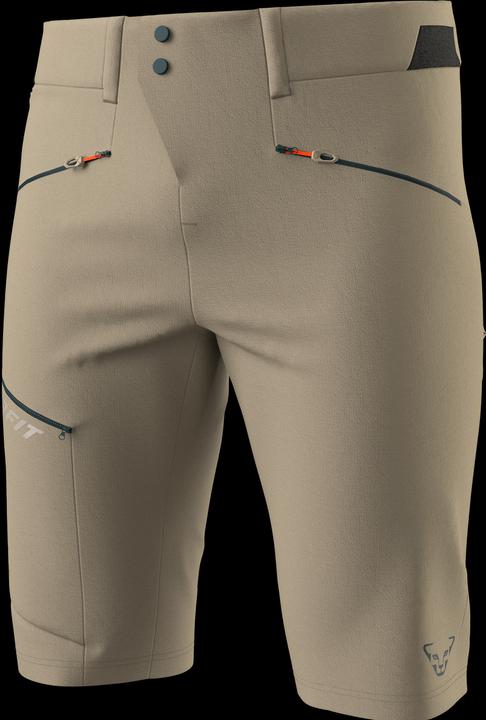 Image du produit Dynafit Transalper Dynastretch Shorts (L)