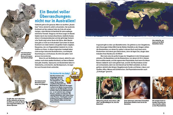 Produktbild Entdecke die Beuteltiere (Deutsch, Leonie Proscurcin, 2022)