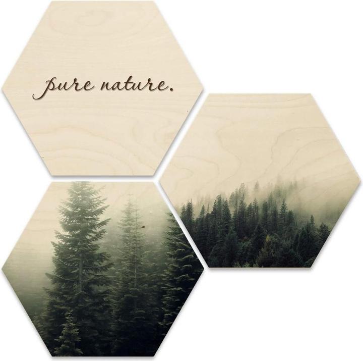 Image du produit Trenddeko Hexagon - Bois plaqué bouleau - Pure Nature Forêt (set de 3) (35 x 30 cm)