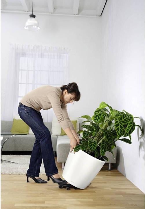 Produktbild Lechuza Rolluntersatz, CLASSICO 50, QUADRO 50, CUBE 40, CURSIVO 40, CANTO 40